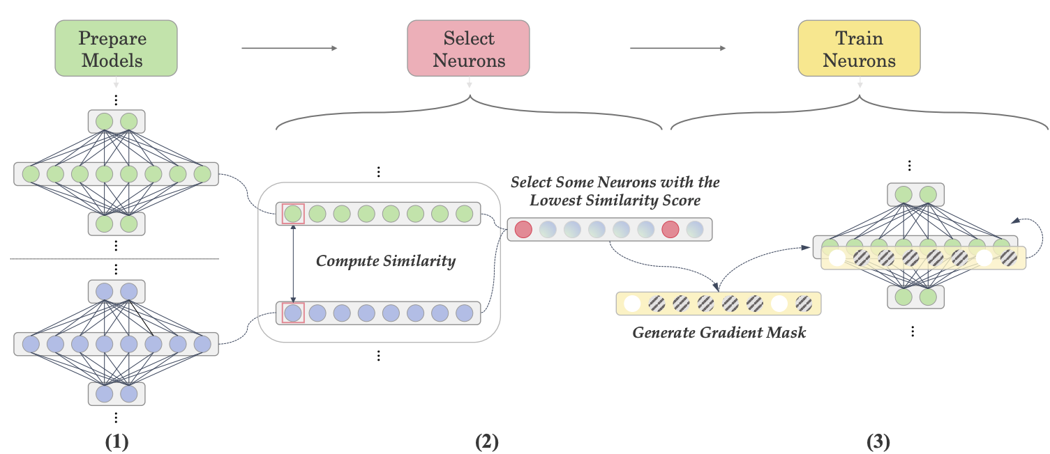 Let’s Focus on Neuron: Neuron-Level Supervised Fine-tuning for Large Language Model